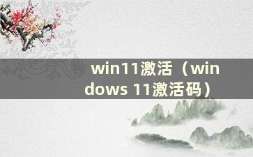 win11激活（windows 11激活码）